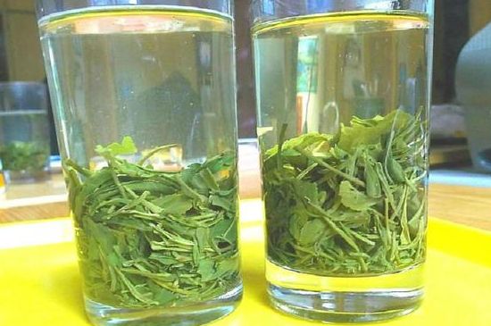 茶葉為什么不能亂送人，買茶葉一次送一盒還是兩盒