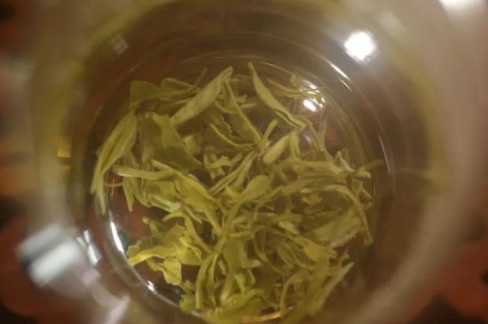 碧螺春正確泡法和飲用，碧螺春茶泡茶方法與溫度
