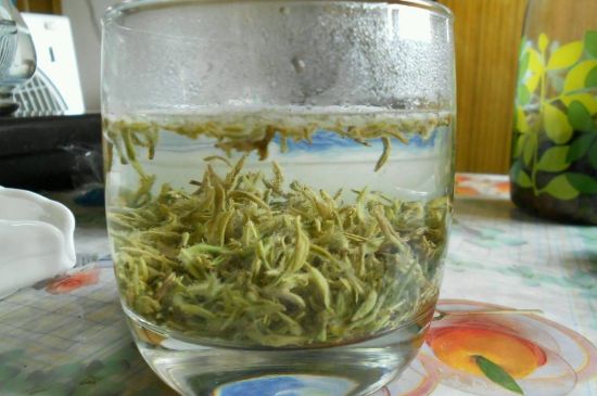 碧螺春正確泡法和飲用，碧螺春茶泡茶方法與溫度