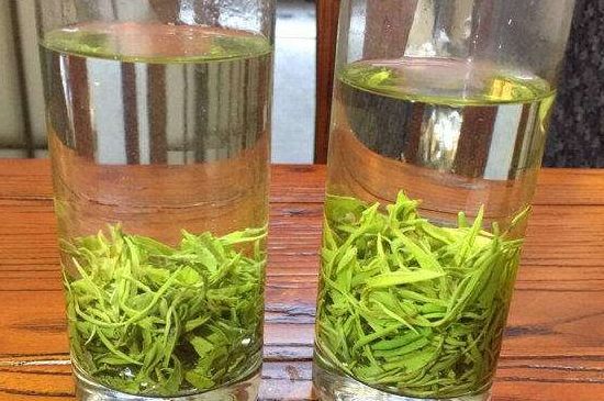 黃金茶的功效及禁忌癥，黃金茶有什么副作用嗎？