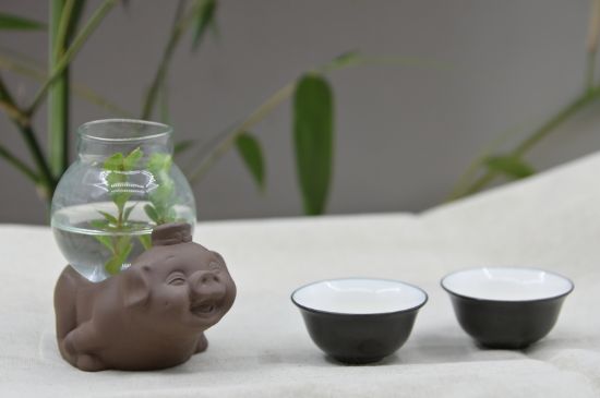 正確泡茶13個(gè)流程，新手從零開始學(xué)泡茶的步驟
