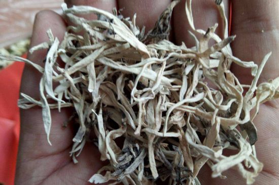 麗江雪茶的禁忌，白雪茶的副作用