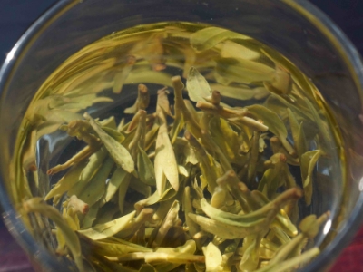 安吉白茶的功效與作用，簡單概括安吉白茶功效