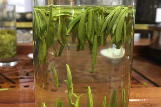 雀舌茶的副作用，雀舌茶什么人不能喝？