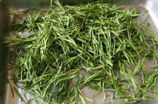 哪類人不適合喝石竹茶，石竹茶的功效與禁忌