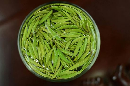 雀舌茶什么人不能喝，雀舌茶的功效與禁忌