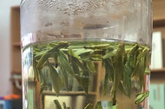 煮茶器能煮龍井嗎，龍井茶能不能用煮茶器圖
