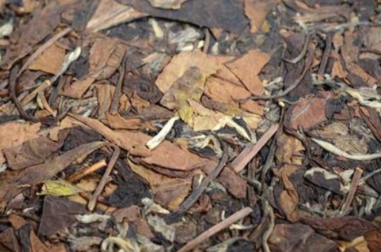 福鼎白茶能長時間悶泡嗎，老白茶可以悶著喝嗎？
