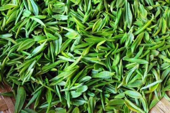 云霧綠茶的功效及禁忌，哪些人不適合喝云霧茶