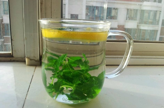薄荷茶的功效與作用，喝薄荷茶有什么好處？