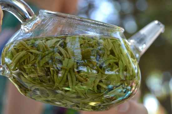 新手學(xué)泡茶的基本常識，從零開始學(xué)泡茶