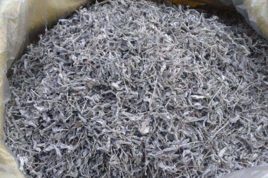 怎樣辨別莓茶發(fā)霉了，莓茶發(fā)霉和白霜的區(qū)別