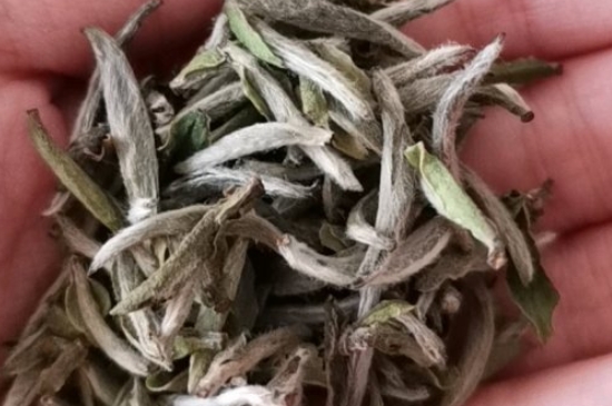 如何買茶葉不上當，怎么買茶葉不被坑？