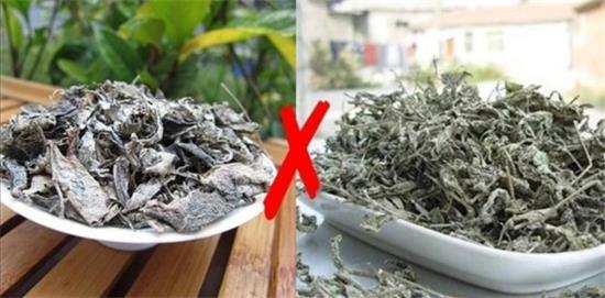 張家界茅巖莓茶與藤茶是同一種茶嗎，藤茶跟莓茶一不一樣？