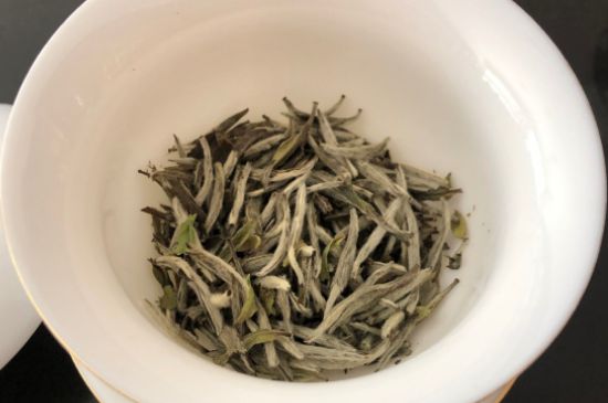春茶上市白茶的好壞怎么區(qū)分，春白茶怎么分辨好不好？