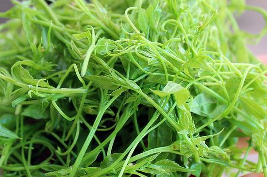茅巖莓茶別名是什么，莓茶別名叫藤茶嗎？