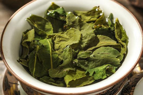 陳茶還是新茶好，茶葉是新茶好喝還是陳茶好喝