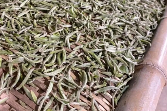 過期茶葉的八大妙用，過期的陳茶葉還能干什么用？