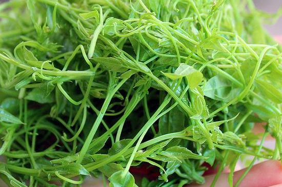 茅巖莓茶保質(zhì)期有多久，張家界莓茶存放時(shí)間長(zhǎng)了還能喝嗎？