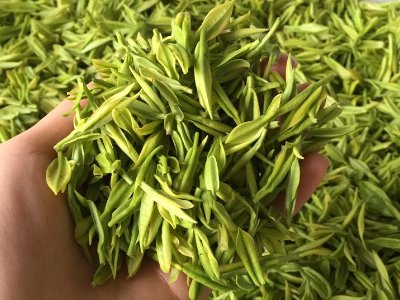白茶品質(zhì)如何區(qū)分，白茶的優(yōu)劣質(zhì)量辨別方法