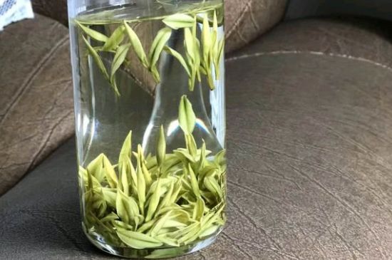 安吉白茶夏天怎么保存，安吉白茶能冷凍儲存嗎？