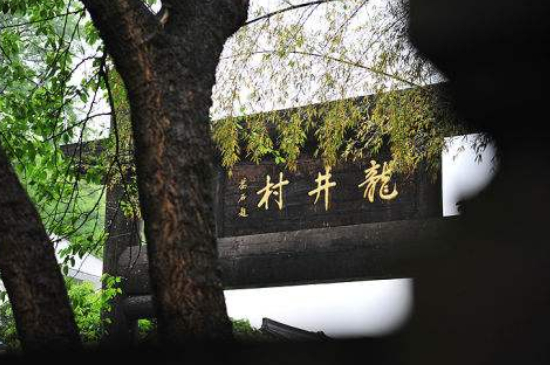 杭州買龍井茶攻略，怎么買到正宗的西湖龍井？