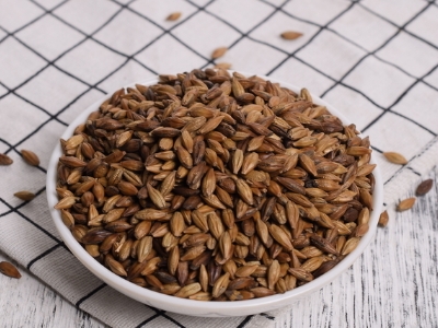 圓形顆粒狀茶是什么茶，像飼料一樣一粒粒的是什么茶？