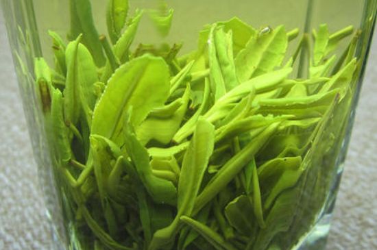 哪種茶葉可以放冰箱，哪些茶不能放冰箱？