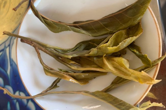 普洱茶十大學(xué)費(fèi)茶排名，吉普H是學(xué)費(fèi)茶？