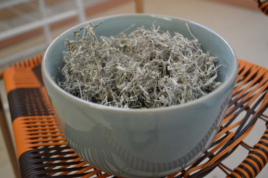 怎樣辨別莓茶發(fā)霉了，莓茶發(fā)霉和白霜的區(qū)別