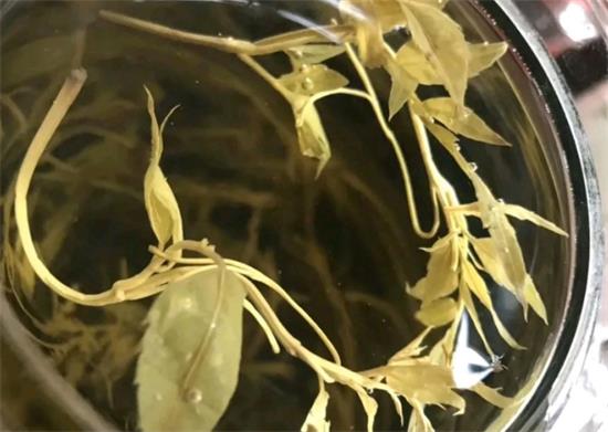 張家界茅巖莓茶與藤茶是同一種茶嗎，藤茶跟莓茶一不一樣？