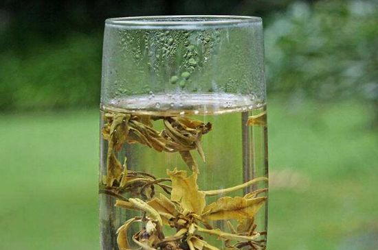 茉莉龍珠什么人不能喝，茉莉龍珠茶什么體質(zhì)不能喝？
