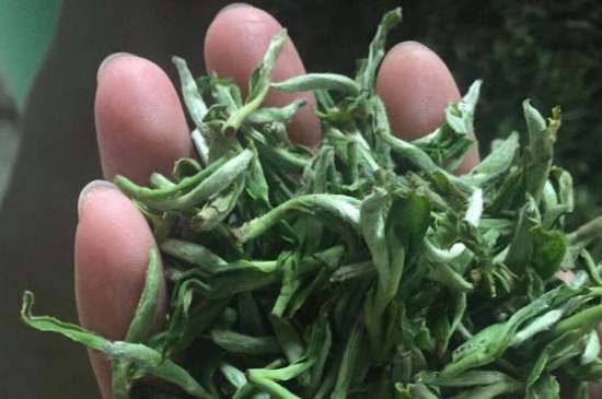 茉莉茶如何制作曬干，自制茉莉茶的做法