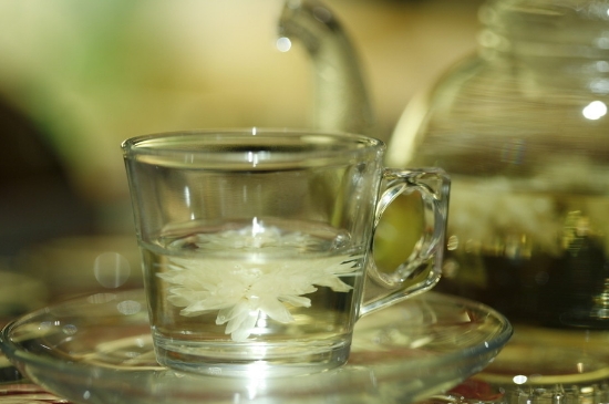 菊花茶天天喝行嗎，每天喝菊花泡茶喝好嗎？