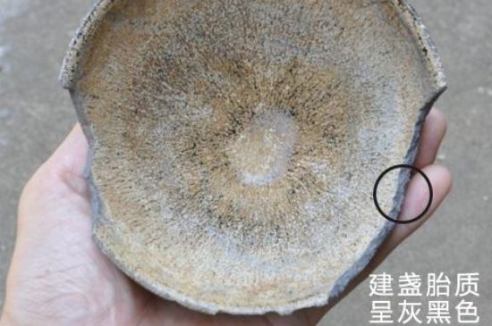 假建盞的特點(diǎn)，真假建盞區(qū)分帶圖