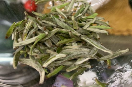 蒸汽煮茶器適合什么茶，蒸汽煮茶器適合用綠茶嗎？