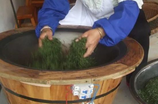 自家炒茶葉怎么炒，自己炒茶葉的步驟