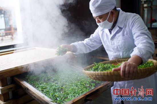 炒青綠茶與綠茶的區(qū)別，烘青和炒青哪個(gè)好喝？