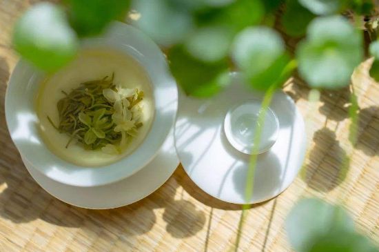 茉莉花茶6種人不要喝，什么體質(zhì)不適合喝茉莉花茶？