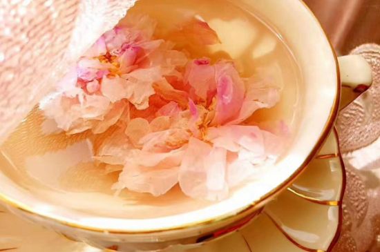 玫瑰花茶一周喝幾次，玫瑰花茶可以天天喝嗎？