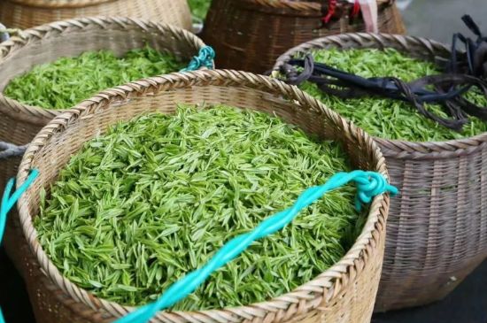 茶葉怎么炒制才香，怎樣炒茶葉更香？