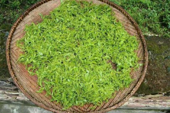 茅巖莓茶加工工藝，莓茶的工藝制作過程