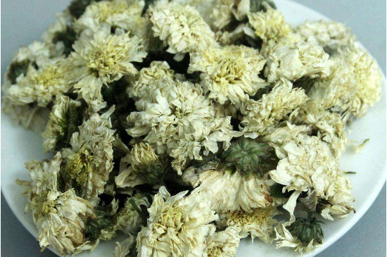 菊花茶買小朵還是大朵，泡茶用的小菊花和大菊花哪個好