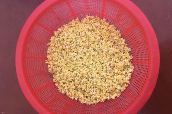 干桂花茶的制作方法，怎樣自制桂花茶？