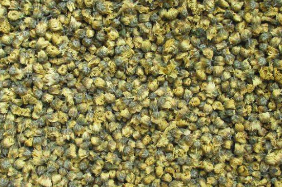 菊花茶大朵小朵有什么區(qū)別，菊花喝大朵還是小朵？