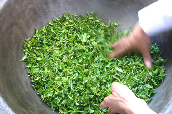 綠茶加工工藝流程圖，綠茶的加工制作包含哪幾個步驟？