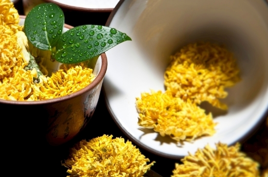 孕婦可以喝菊花茶嗎，菊花對胎兒有致畸作用？