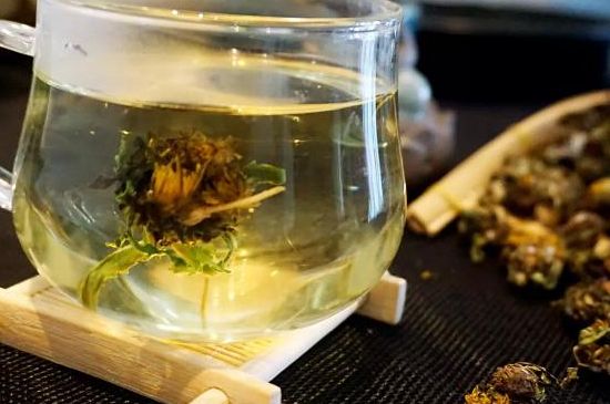 蒲公英最佳搭配，蒲公英茶和什么搭配泡水最佳