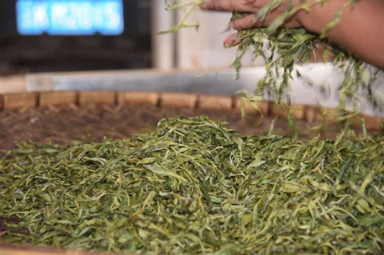 炒青綠茶與綠茶的區(qū)別，烘青和炒青哪個(gè)好喝？