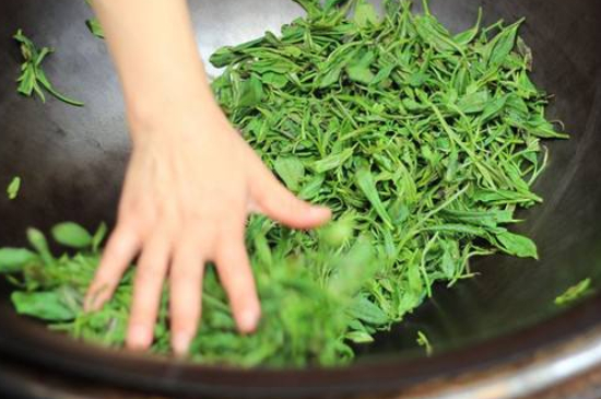 炒青綠茶與綠茶的區(qū)別，烘青和炒青哪個(gè)好喝？